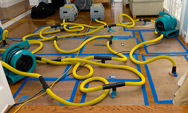 Professional Burst Pipe Water Damage technician working in Dover, DE